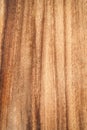 Texture. Wooden texture - wood grain Royalty Free Stock Photo