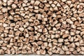 Texture woodpile with dry firewood, close-up abstraction background