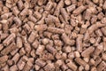 Texture of woody clumps, pellets of  litter, for cat, rabbit, guinea pig, hamster, rodent, bird, turtle and other pets Royalty Free Stock Photo