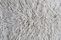 Texture of wool carpet Royalty Free Stock Photo