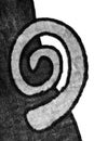 The texture of woolen fabric with a spiral.