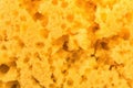 Texture worn yellow sponge for washing dishes , close-up abstract background Royalty Free Stock Photo