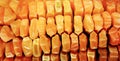 Texture of yellow dried kernels of ripe corn cob. Royalty Free Stock Photo