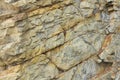 Yellow rock texture