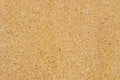 Rough Texture of Yellow Sand Wall. Royalty Free Stock Photo