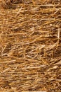 Texture of yellow straw collected in a bale, close-up, vertical arrangement