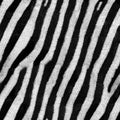 Texture zebra skin, high quality 4K Royalty Free Stock Photo