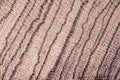 The texture of a zebrano tree shot on a macro lens Royalty Free Stock Photo