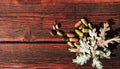 Textured autumn background for lettering and design and lots of empty space on it. Oak leaves and acorns on a wooden table Royalty Free Stock Photo