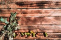 Textured autumn background for lettering and design and lots of empty space on it. Oak leaves and acorns on a wooden table Royalty Free Stock Photo