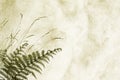 Textured background with fernery - space for text Royalty Free Stock Photo