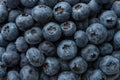 Textured background of fresh raw blueberries. Food concept. Close-up