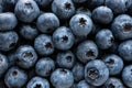 Textured background of fresh raw blueberries. Food concept. Close-up