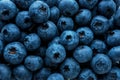 Textured background of fresh raw blueberries. Food concept. Close-up