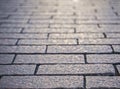 Textured background of a pavement stone