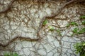 Textured background irregular natural stone wall made of different stones Royalty Free Stock Photo