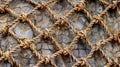 A textured background of overlapping crisscrossed fishing netting creating a weblike pattern Royalty Free Stock Photo