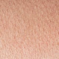 Cosmetological textured background from pink healthy skin of the body brow century close-up, covered with goosebumps and fine Royalty Free Stock Photo