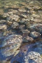 Textured background of rocks under water Royalty Free Stock Photo