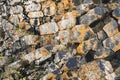 Textured basalt background hexagonal stone pillars in a section. natural volcanic formations