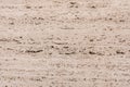 Textured Beige Travertine Stone Background With Natural Patterns and Rough Surfaces Royalty Free Stock Photo