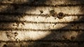 Textured Birch Bark with Dramatic Light and Shadow Patterns Royalty Free Stock Photo