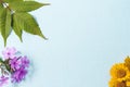 On a textured blue background, green sumac leaves, pink Phlox flowers and yellow navel flowers..