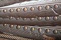 Textured borneo pheasant feathers Royalty Free Stock Photo