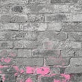 Textured Brick Wall With Bright Pink Color Creative Art Royalty Free Stock Photo