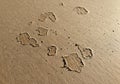 Textured brown paper with small gouges or tears scattered across Royalty Free Stock Photo