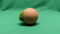 A textured brown spherical object is placed on a green fabric surface Royalty Free Stock Photo