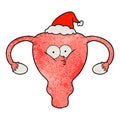 textured cartoon of a uterus wearing santa hat