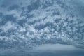 Textured cloudy sky with layered altocumulus pattern and dramatic shades of gray representing approaching storm front and natural Royalty Free Stock Photo