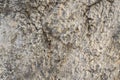 Textured concrete wall fragment. great grey background