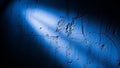 Textured concrete wall illuminated by a single blue spotlight in darkness Royalty Free Stock Photo