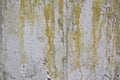 Textured concrete wall with streaks of paint and cracks Royalty Free Stock Photo