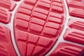 Textured design of the sole of the sport shoe in red Macro