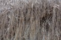 Textured gray hemp fiber for production