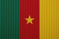 Textured flag of Cameroun in nice colors