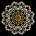 Textured floral vector mandala pattern. Colorful tapestry background. Grunge tribal ethnic style backdrop. Embroidered flowers. Royalty Free Stock Photo