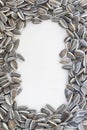 Textured frame sunflower seeds Royalty Free Stock Photo