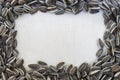 Textured frame sunflower seeds Royalty Free Stock Photo