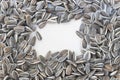 Textured frame sunflower seeds Royalty Free Stock Photo