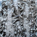 textured frost pattern on window glass closeup