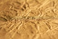 Textured gold foil wrapping paper Royalty Free Stock Photo