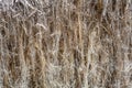 Textured gray hemp fiber for production