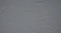 A textured gray plaster wall with subtle, irregular patterns and lines. The surface Royalty Free Stock Photo