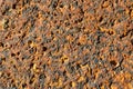 Textured laterite wall