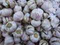 textured made of pile of garlic in market display Royalty Free Stock Photo