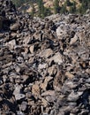 Textured obsidian on a hill in the forest Royalty Free Stock Photo